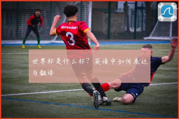 世界杯是什么杯？英语中如何表达与翻译