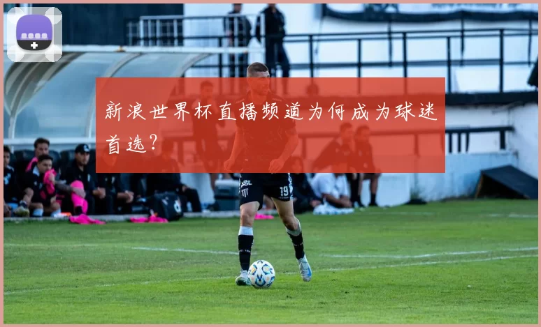 新浪世界杯直播频道为何成为球迷首选？