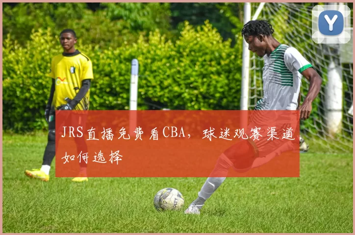 JRS直播免费看CBA，球迷观赛渠道如何选择