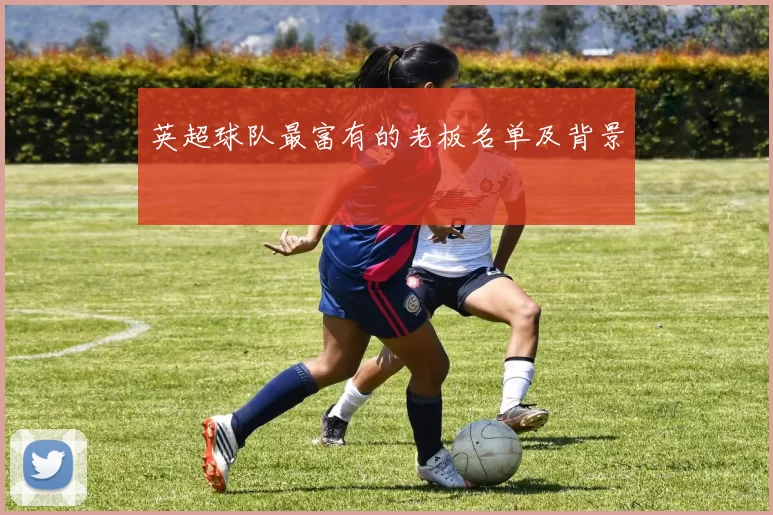 英超球队最富有的老板名单及背景
