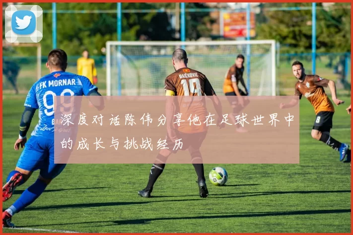 深度对话陈伟分享他在足球世界中的成长与挑战经历