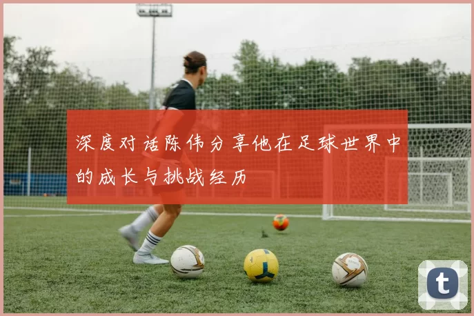 深度对话陈伟分享他在足球世界中的成长与挑战经历