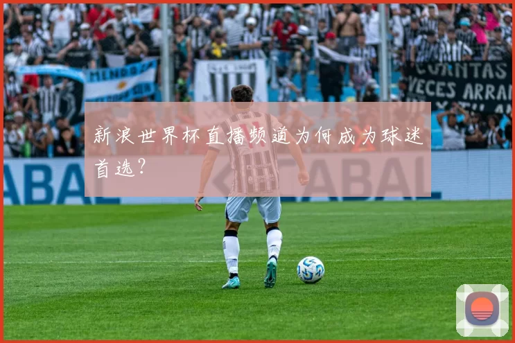 新浪世界杯直播频道为何成为球迷首选？