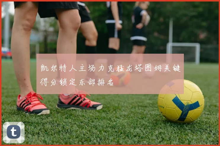 凯尔特人主场力克猛龙塔图姆关键得分锁定东部排名