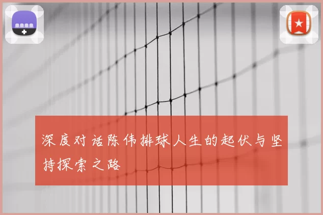 深度对话陈伟排球人生的起伏与坚持探索之路
