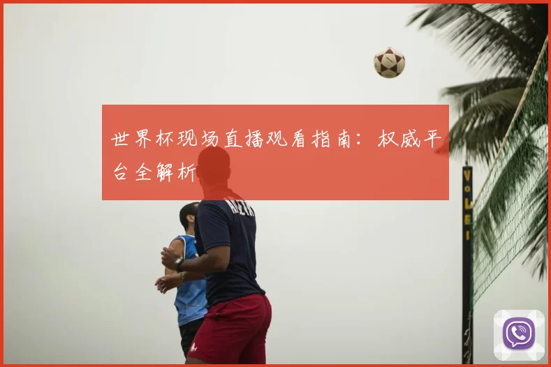 世界杯现场直播观看指南：权威平台全解析