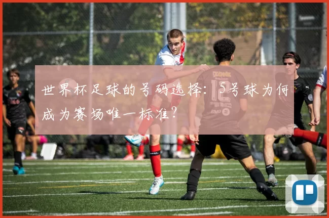 世界杯足球的号码选择：5号球为何成为赛场唯一标准？