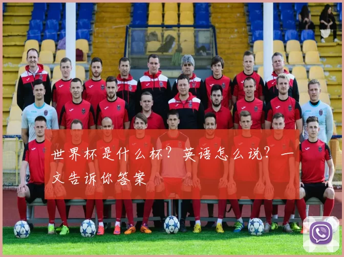 世界杯是什么杯？英语怎么说？一文告诉你答案