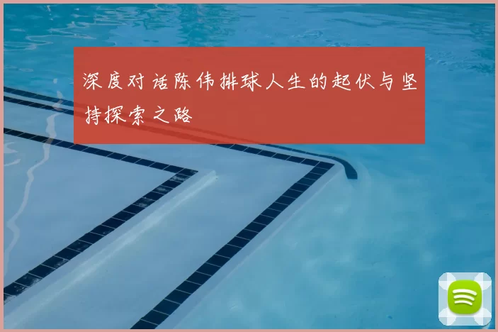 深度对话陈伟排球人生的起伏与坚持探索之路